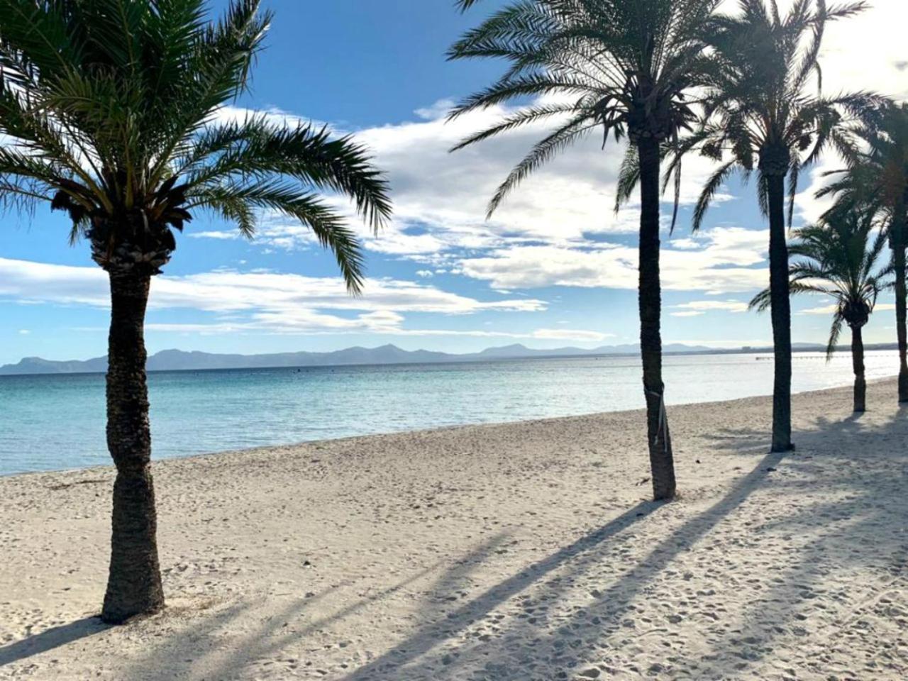 El Paraiso 알쿠디아 외부 사진