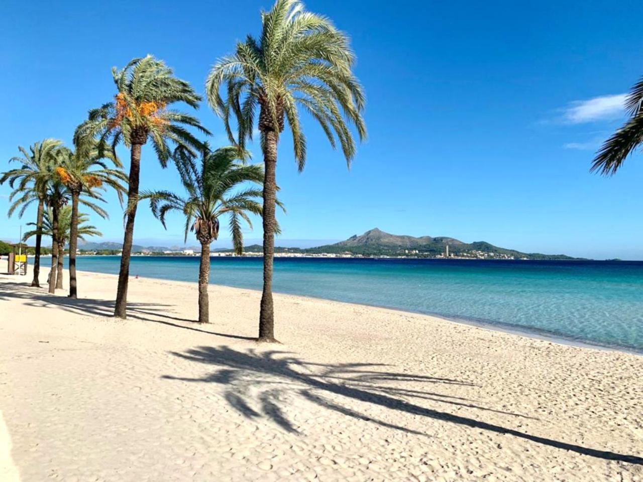 El Paraiso 알쿠디아 외부 사진